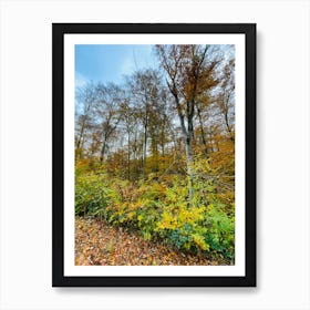 Autumn In The Woods 13 Art Print