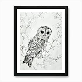 Boreal Owl Marker Drawing 3 Art Print