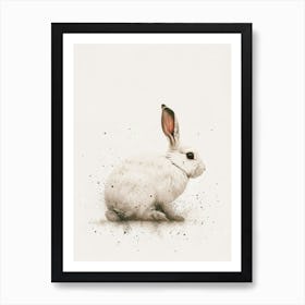 Florida White Rabbit Nursery Illustration 1 Art Print