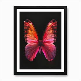 Butterfly 14 Art Print