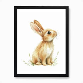 Netherland Dwarf Rabbit Kids Illustration 2 Art Print