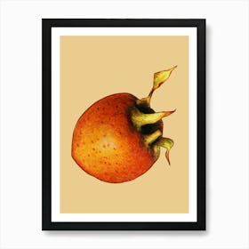 Pomegranate 11 Art Print