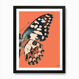 Butterfly left Art Print  Summer Collection Art Print