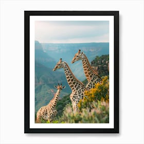 Giraffes In The Mountains Art Print