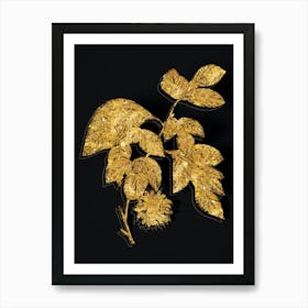 Vintage Paper Mulberry Flower Botanical in Gold on Black n.0375 Art Print