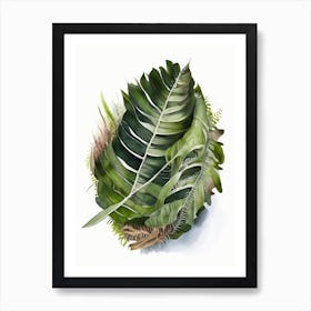 Bird S Nest Fern Watercolour Art Print