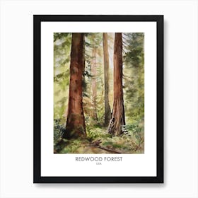 Redwood Forest 4 Watercolour Travel Poster Art Print