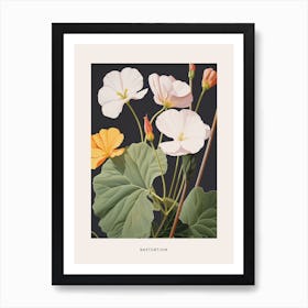 Flower Illustration Nasturtium 1 Poster Art Print