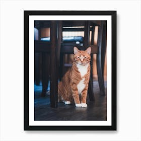 Orange Tabby Cat Art Print