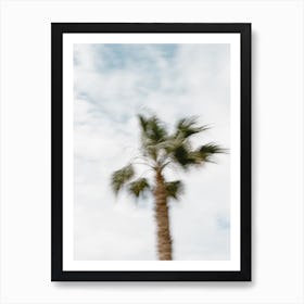 Moving Palm Tree Art Print