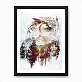 Poster Owl Wild Animal Illustration Art 02 Art Print