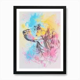 Irish Setter Pastel Line Watercolour Illustration  2 Art Print