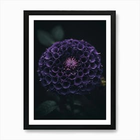 Purple Flower Art Print