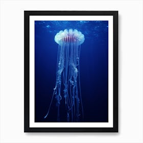 Comb Jellyfish Ocean Realistic 1 Art Print