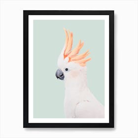 Cockatoo Art Print