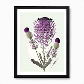 Purple Prairie Clover Wildflower Vintage Botanical Art Print