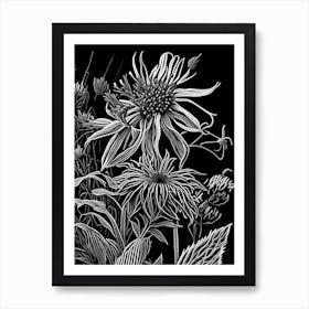 Bee Balm Wildflower Linocut 2 Art Print