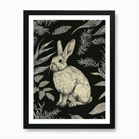 American Sable Rabbit Minimalist Illustration 2 Art Print