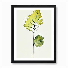 Wild Mustard Leaf Minimalist Watercolour 1 Art Print