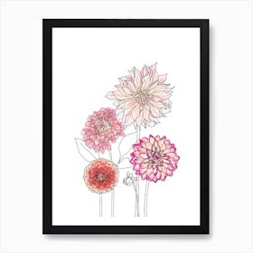 Dahlias 1 Art Print