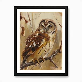 Australian Masked Owl Painting 9 Art Print