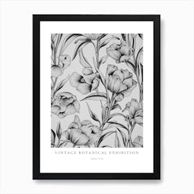 Sweet Pea B&W Vintage Botanical Poster Art Print