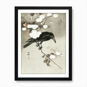 Crow With Cherry Blossom (1900 1930), Ohara Koson Art Print