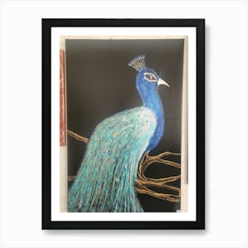 Peacock 4 Art Print