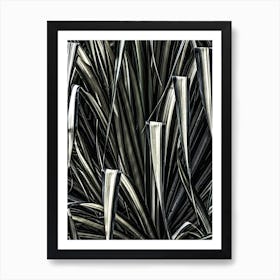 Jungle Brush Affiche