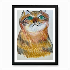 Cat With Green Eyes Art Print