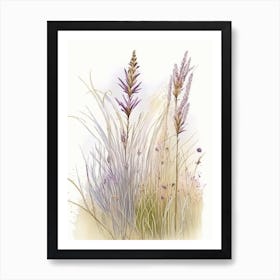 Prairie Dropseed Wildflower Watercolour 2 Art Print