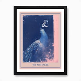 Peacock Pink & Blue Cyanotype Inspired 2 Poster Art Print