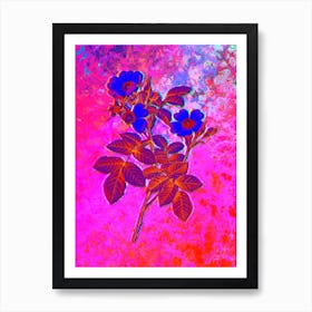 Short Styled Field Rose Botanical in Acid Neon Pink Green and Blue n.0181 Art Print