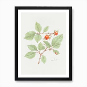 English Hedgerow Rosehip - Textured Botanical Wall Print Set | Floral Collection Art Print Art Print