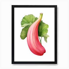 Pink Banana Pumpkin Watercolour Illustration 3 Art Print