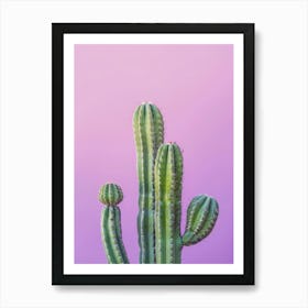 Cactus On Purple Background Poster