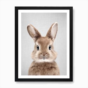 Baby Rabbit Art Print