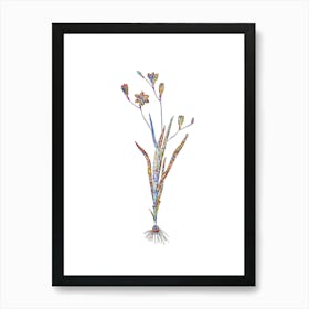 Stained Glass Ixia Bulbifera Mosaic Botanical Illustration on White n.0331 Art Print