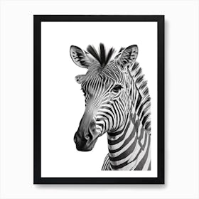 Zebra Portrait 2 Art Print