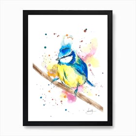 Blue Tit Bird Art Print