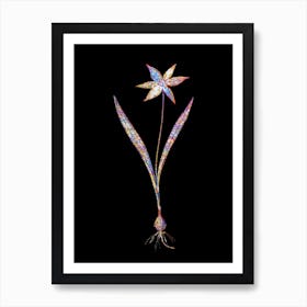 Stained Glass Tulipa Celsiana Mosaic Botanical Illustration on Black n.0284 Art Print