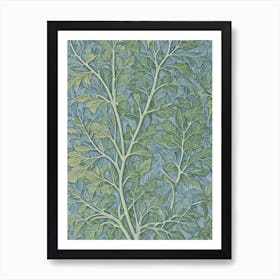 Beech tree Vintage Botanical Art Print