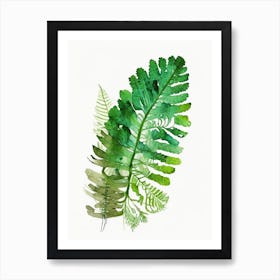 Himalayan Maidenhair Fern Watercolour Art Print