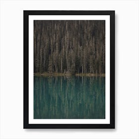 Forest Lake Reflection Art Print