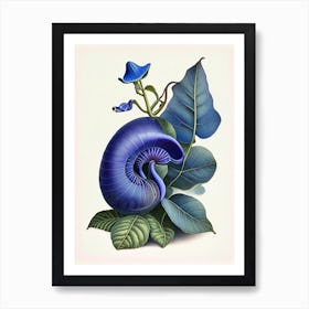 Periwinkle Snail  Botanical Art Print
