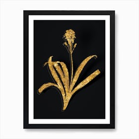 Vintage Spanish Bluebell Botanical in Gold on Black n.0374 Art Print