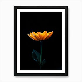 Single Yellow Flower On Black Background 6 Art Print