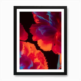 Carnations 1 Art Print