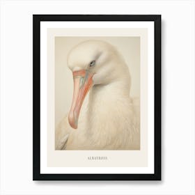 Vintage Bird Drawing Albatross 1 Poster Art Print