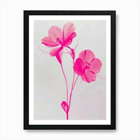 Hot Pink Veronica Flower 2 Art Print